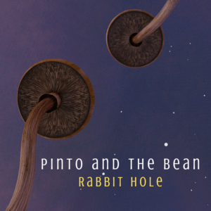 Rabbit Hole - Music Box Demo - mp3 download